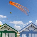 Festival des cerfs-volants à Cayeux-sur-mer sur le chemin des planches.