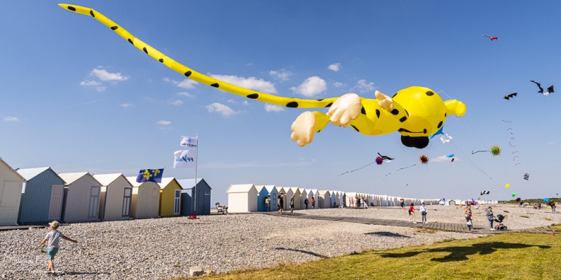 Festival des cerfs-volants de Cayeux-sur-mer