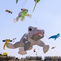 Festival des cerfs-volants de Cayeux-sur-mer