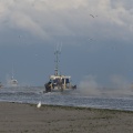Chaluttier à la pêche en Baie de Somme au Hourdel
