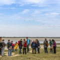Balade botanique et poétique en baie de Somme - Flora Delalande - Festival de l'oiseau
