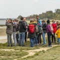 Balade botanique et poétique en baie de Somme - Flora Delalande - Festival de l'oiseau