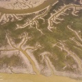 Les mollières du Cap Hornu envahies par les grandes marées.
