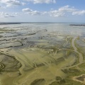 Grandes marées (coeff 112) en baie de Somme