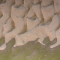 Graphisme des bancs de sable (vue aérienne)