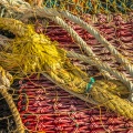 Filets de pêche sur le port du Hourdel