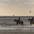 Cavaliers en baie de Somme sur des chevaux Henson