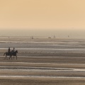 Equitation sur la plage de La Mollière d'Aval près de Cayeux-sur-mer