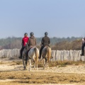 Cavaliers venus pratiquer l'équitation en baie de Somme dans la réserve naturelle