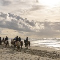 Troupe de cavaliers et leurs chevaux Henson sur la plage