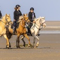 Entraînement de chevaux en baie de Somme