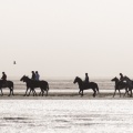 Groupe de cavaliers en contre-jour en baie de Somme