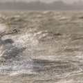 Kitesurf au Crotoy en baie de Somme