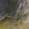 Gros plan sur la glace en Baie de Somme
