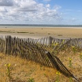 Les dunes le long de la plage du Crotoy