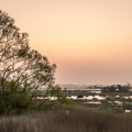 Le marais de blanquetaque près de Noyelles-sur-mer au petit matin