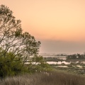 Le marais de blanquetaque près de Noyelles-sur-mer au petit matin