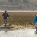 Promeneurs venant observer les oiseaux en baie de Somme dans la réserve naturelle à marée haute