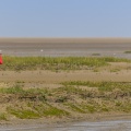 Promeneurs en baie de Somme à marée basse