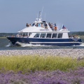 Le bateau "Commandant Charcot" emmène les touristes visiter la baie.