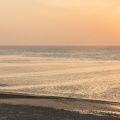 Sulky sur la plage de Ault au crépuscule