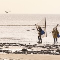 Pêcheur au haveneau (pêche à la crevette grise) sur la plage de Ault