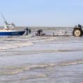 Retour des bateaux des pêcheurs sur la plage de Ault