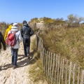 Sentier pedestre menant dans la baie d'Authie à travers les dunes