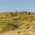 Cavaliers dans les dunes