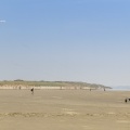 Char-à-cerf-volant sur la plage