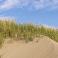 Les dunes entre Fort-Mahon et la Baie d'Authie