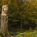 Sculptures (art éphémère) en forêt de Crécy