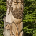 Sculptures à la tronçonneuse en forêt de Crécy