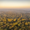 La forêt de Crécy en automne
