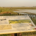 Les marais de la basse vallée de la Somme près de Port-le-Grand