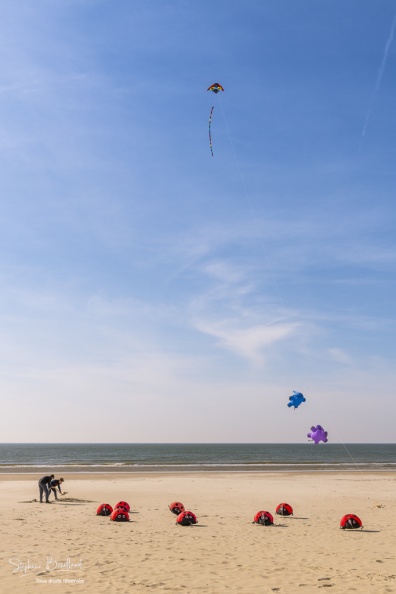 Premiers cerfs-volants sur la plage de Berck-sur-mer