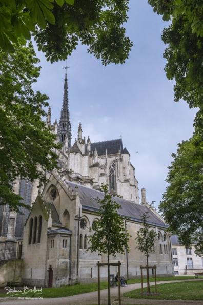 Amiens_Cathedrale_08_06_2017_001.jpg