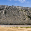 Nidification des mouettes tridactyle dans les falaises depuis la plage d'Escalles au Cap Blanc-Nez