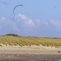 Chars à voile sur la plage de Quend-Plage