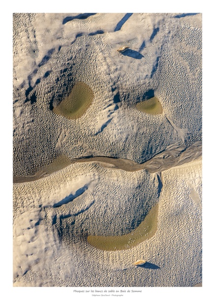 Les bancs de sable très graphiques qui servent de reposoirs aux phoques en baie de Somme