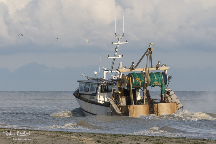 Chaluttier à la pêche en Baie de Somme au Hourdel
