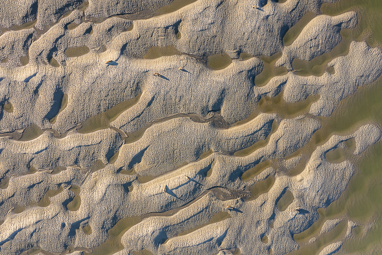 Les bancs de sable très graphiques qui servent de reposoirs aux phoques en baie de Somme