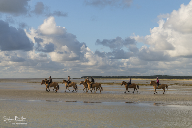 Cavaliers en baie de Somme sur des chevaux Henson