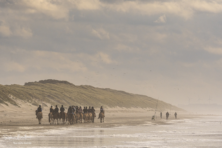 Troupe de cavaliers et leurs chevaux Henson sur la plage