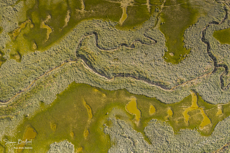 Les mollières de la Baie de Somme (vue aérienne)