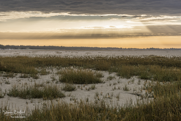 Paysages de la réserve naturelle de la baie de Somme en automne