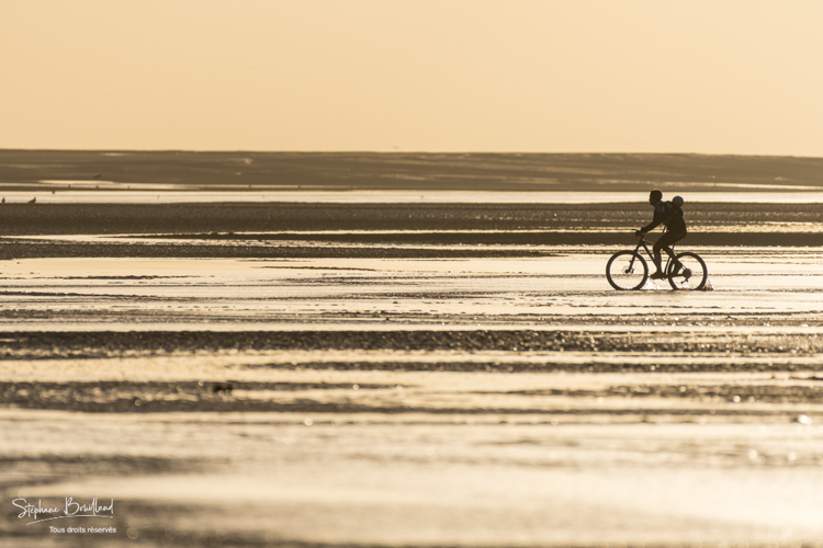 Couple pratiquant le VTT en Baie de Somme à marée basse.