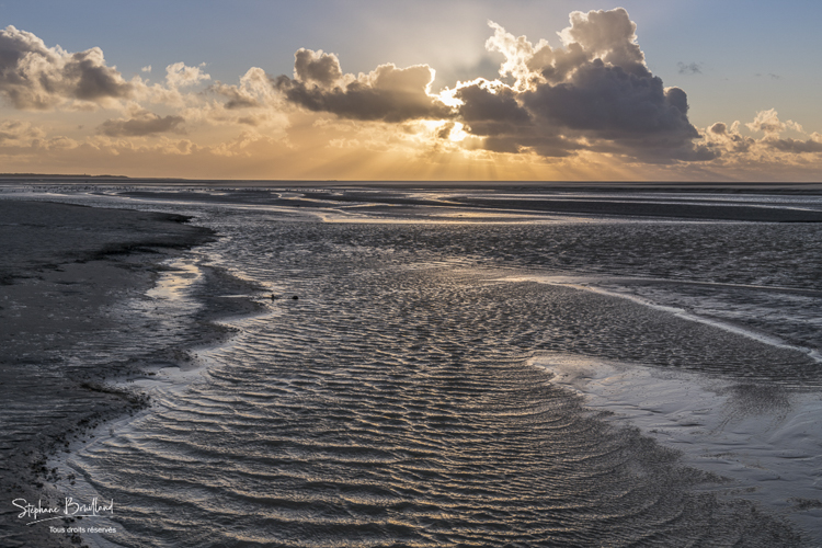 Crépuscule en Baie de Somme à marée basse