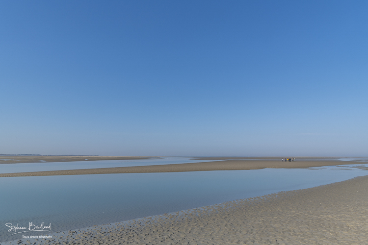 Guide nature et son groupe en baie de Somme un jour de grande marée