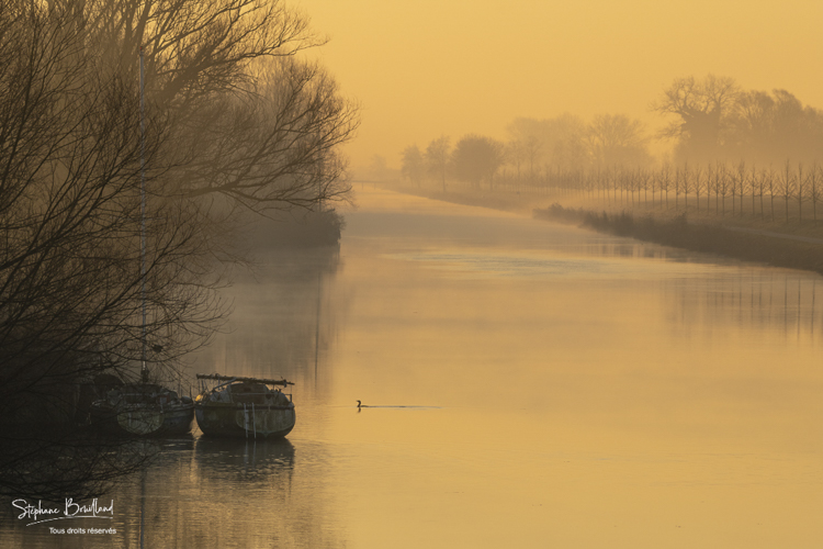 Aube sur le canal de la Somme près de Saint-Valery par un matin brumeux